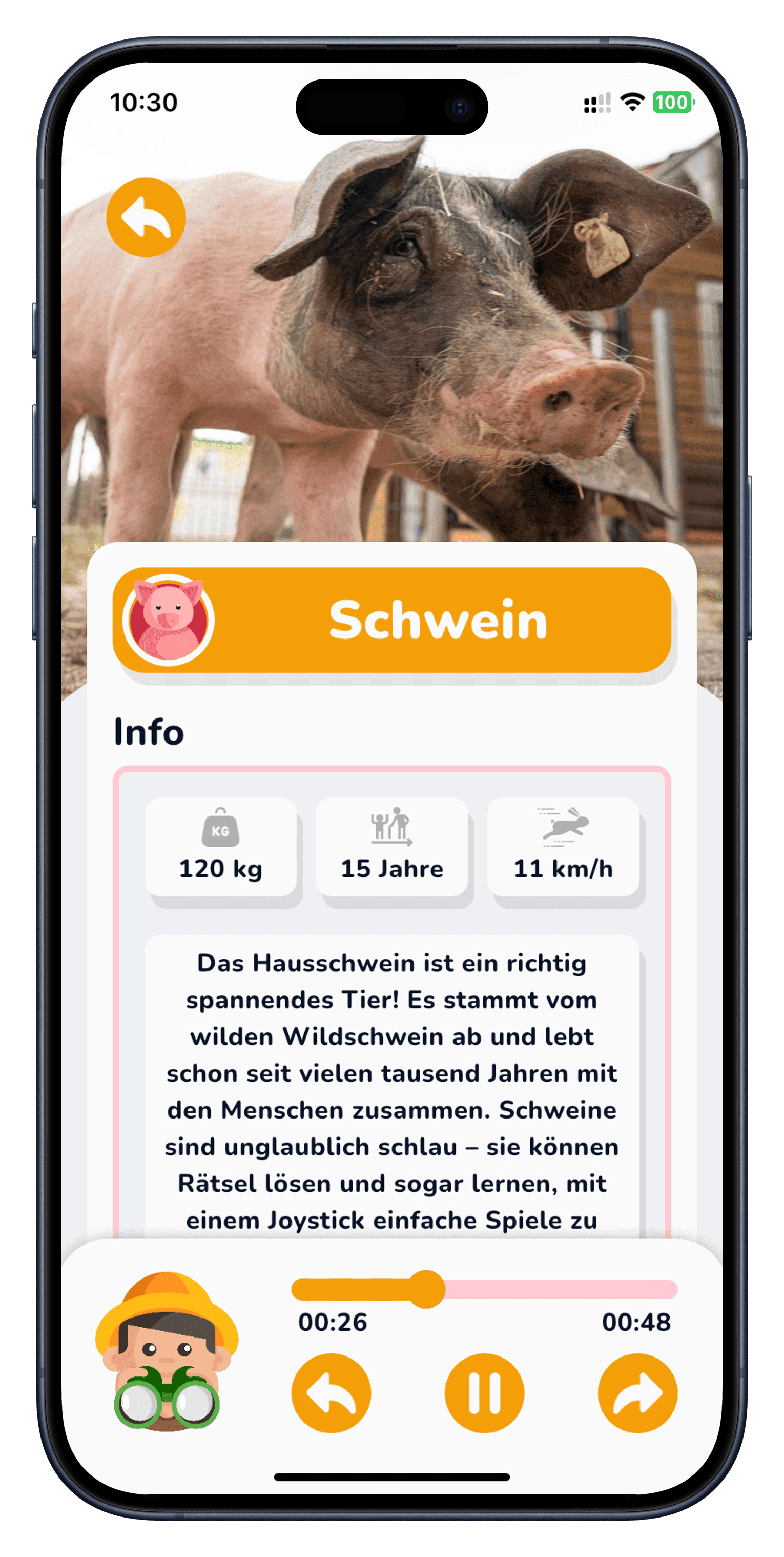 Fakten entdecken und die nächste Station ansteuern
