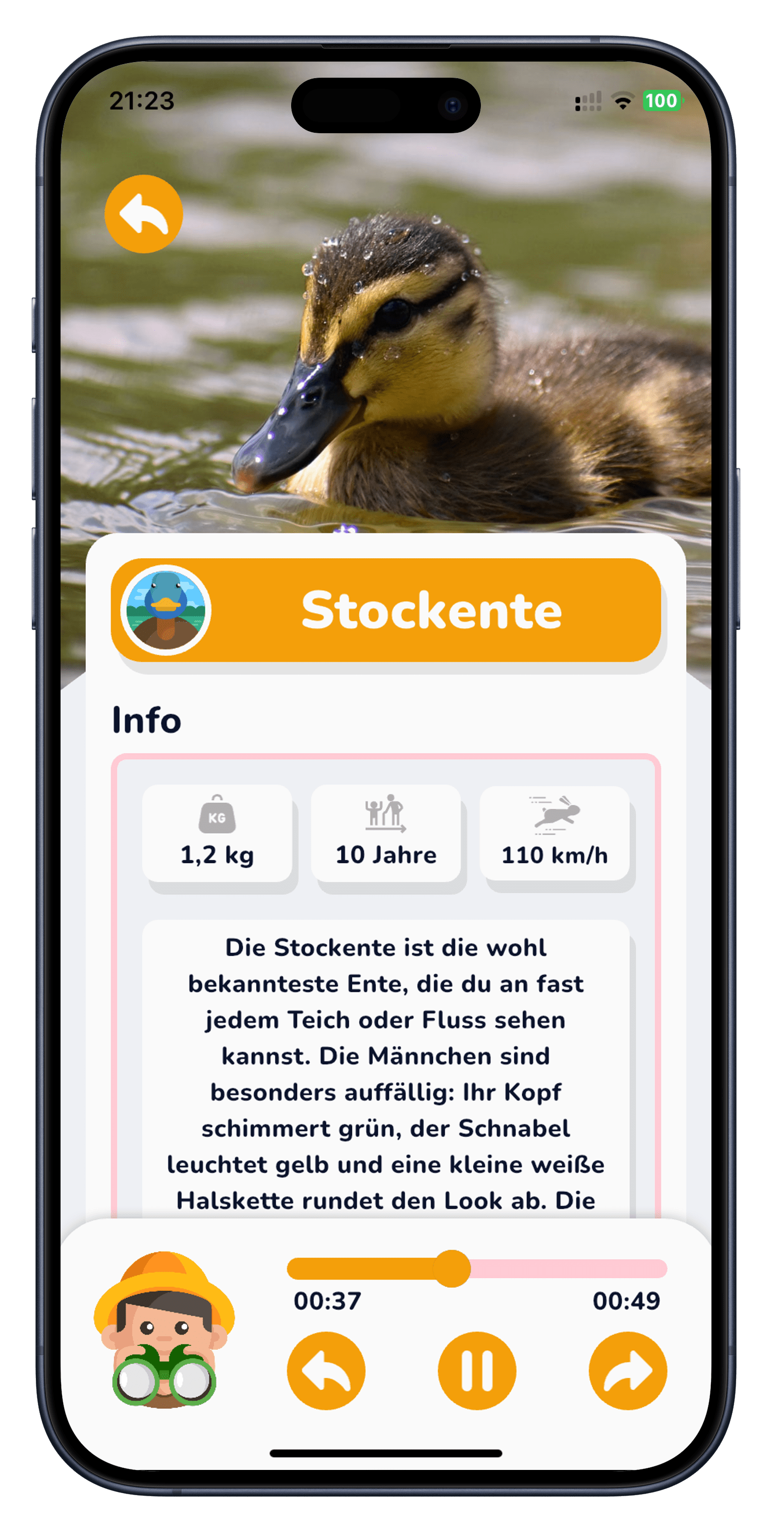 App Screenshot Ente